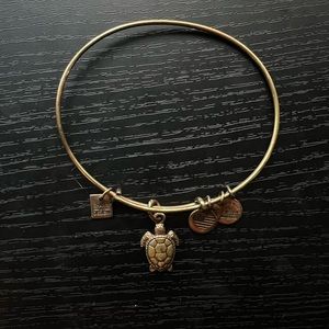 Alex and Ani turtle bracelet